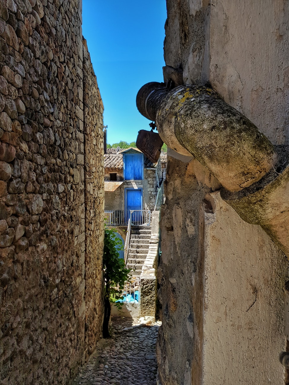 苹果最新动态，引领科技潮流，持续创新突破