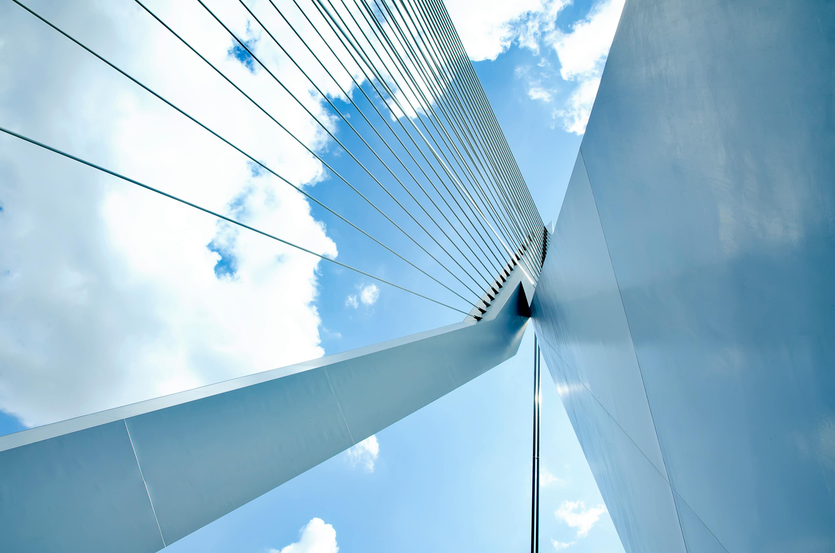 善化国际引领全球视野，最新资讯洞悉未来趋势