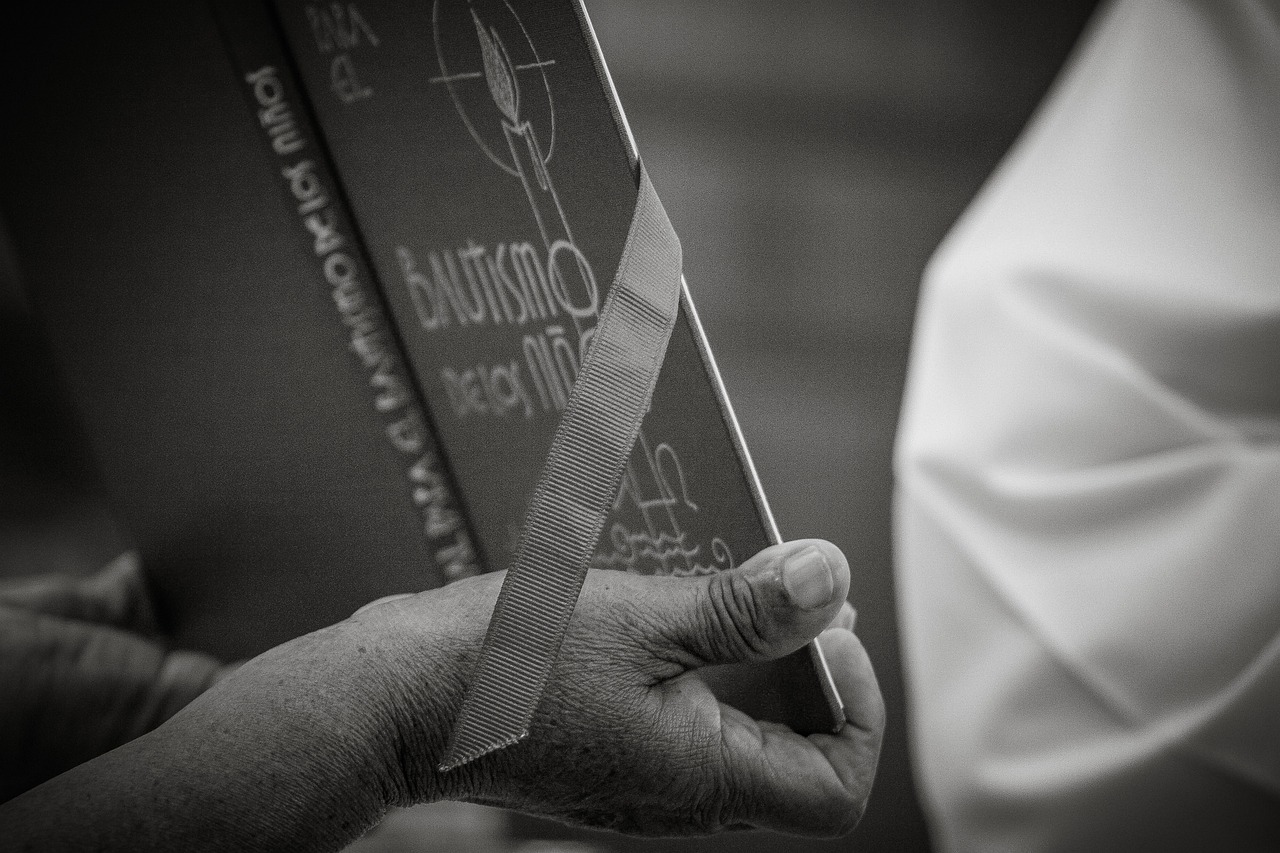 最新神文案的魅力与影响力解析