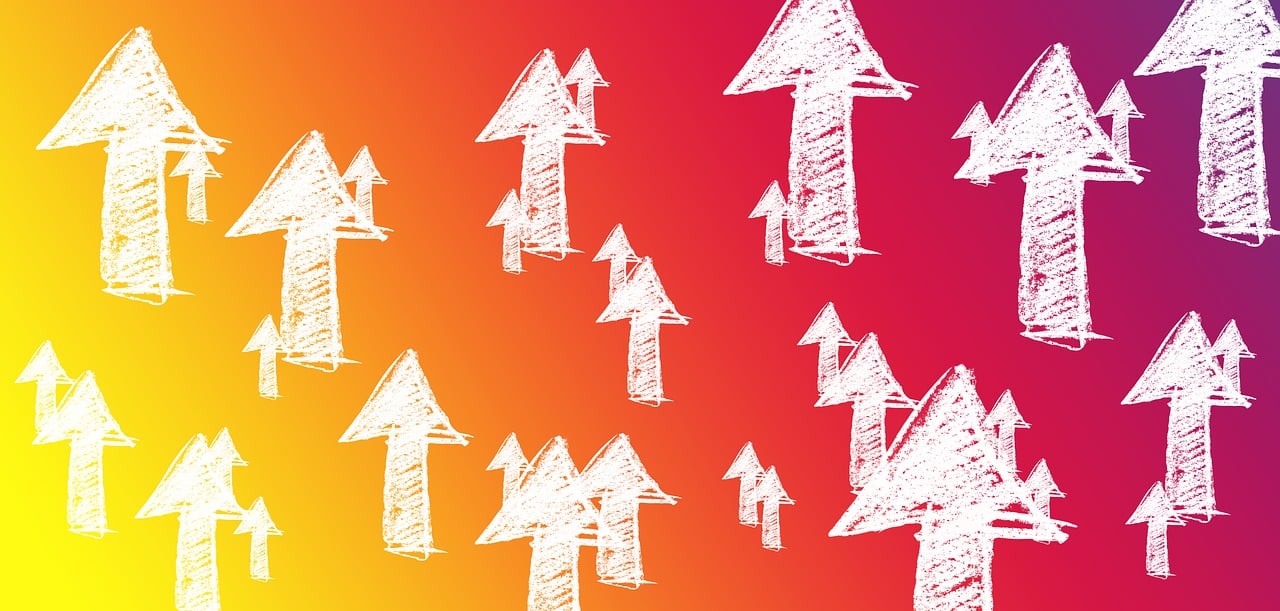 秋实草业有限公司上市，策略、机遇与挑战分析之路