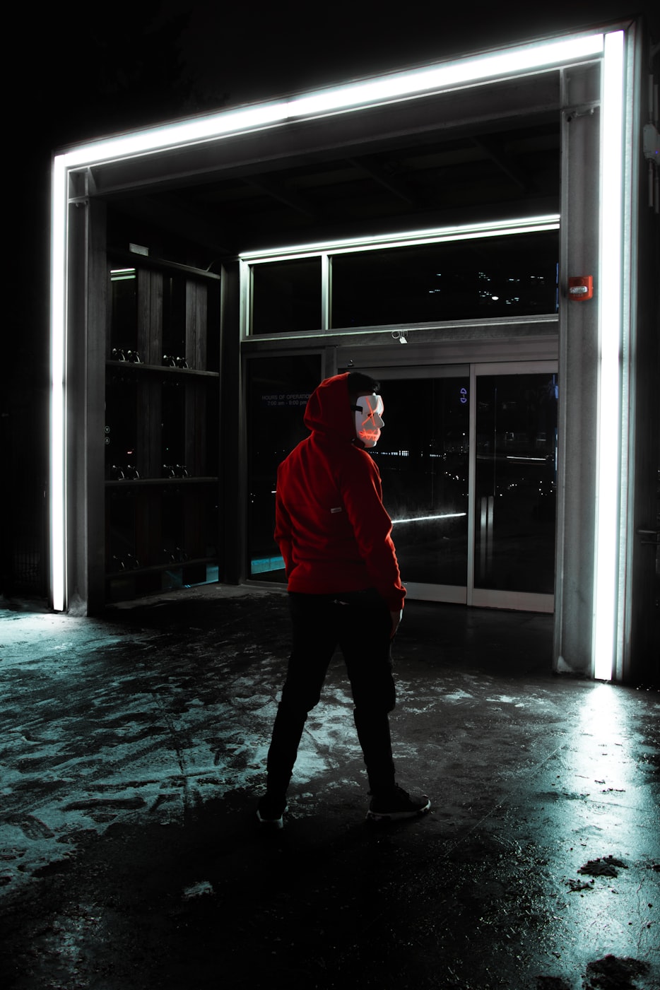 辉月杏梨最新动态揭秘，前沿进展与未来展望探索