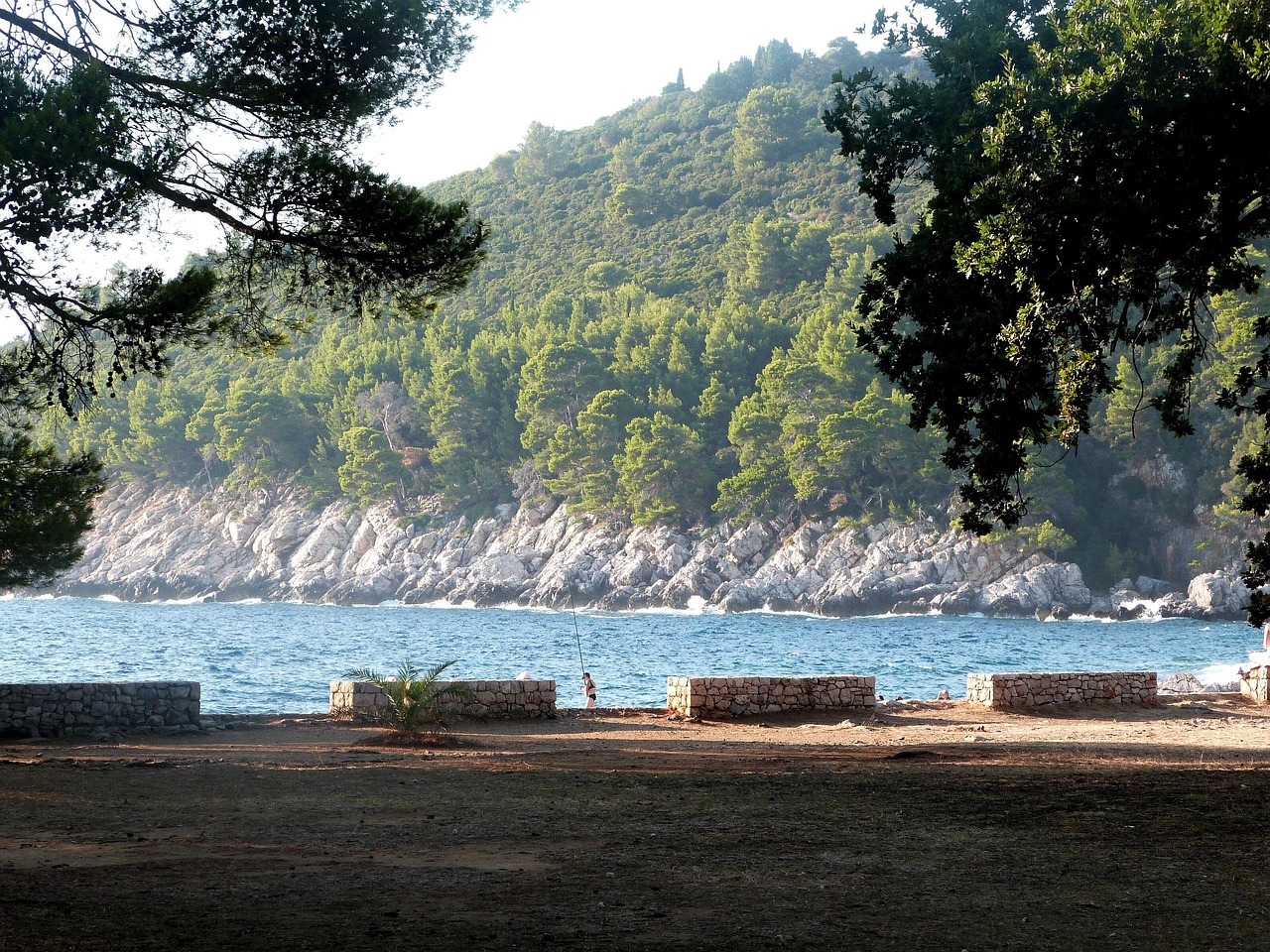 最新田园风光，自然与人文的和谐交织画卷