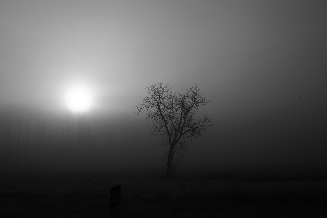 炉石传说，最新宇宙术深度解析