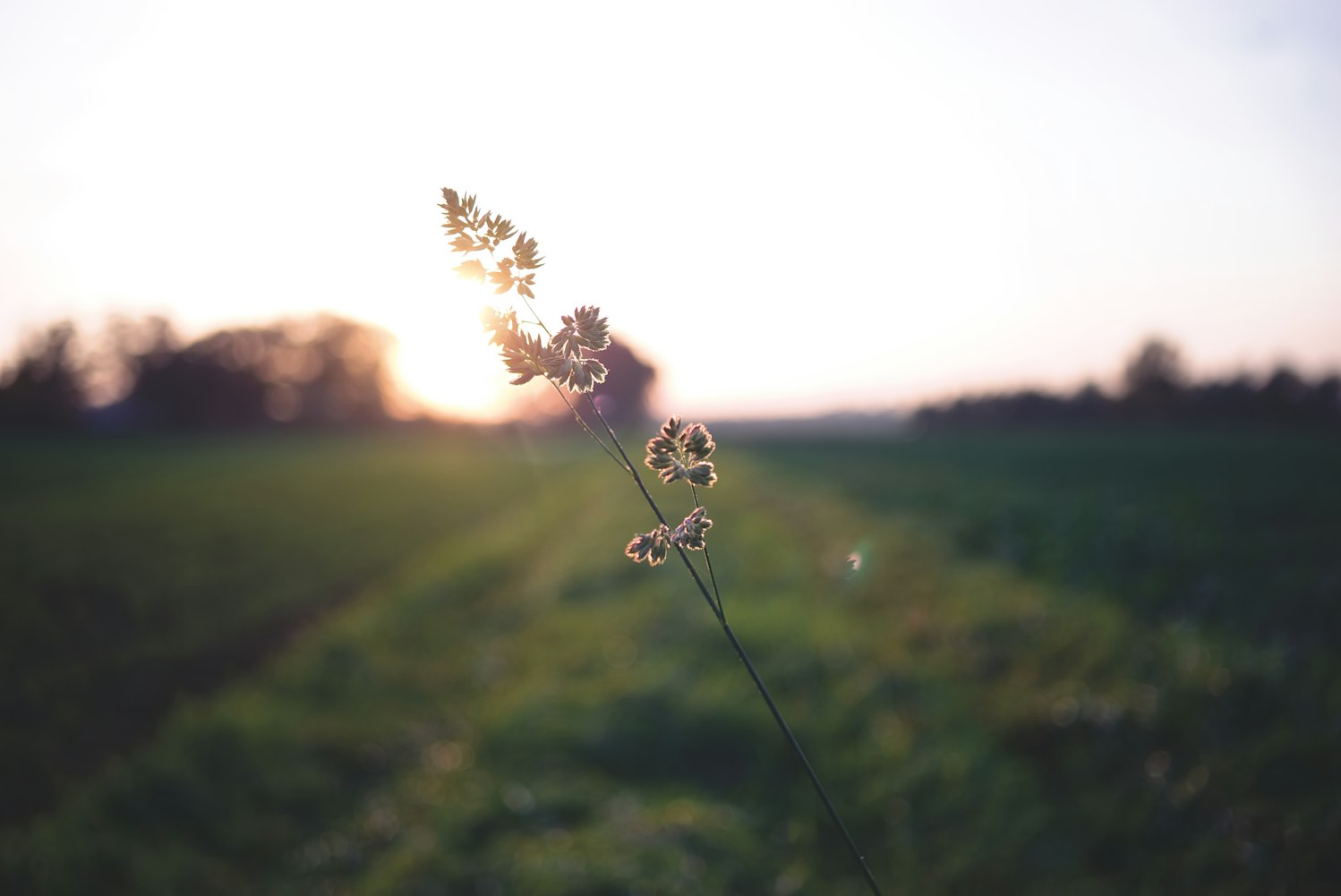 最新感人文字说说图片，触动心灵的瞬间情感表达