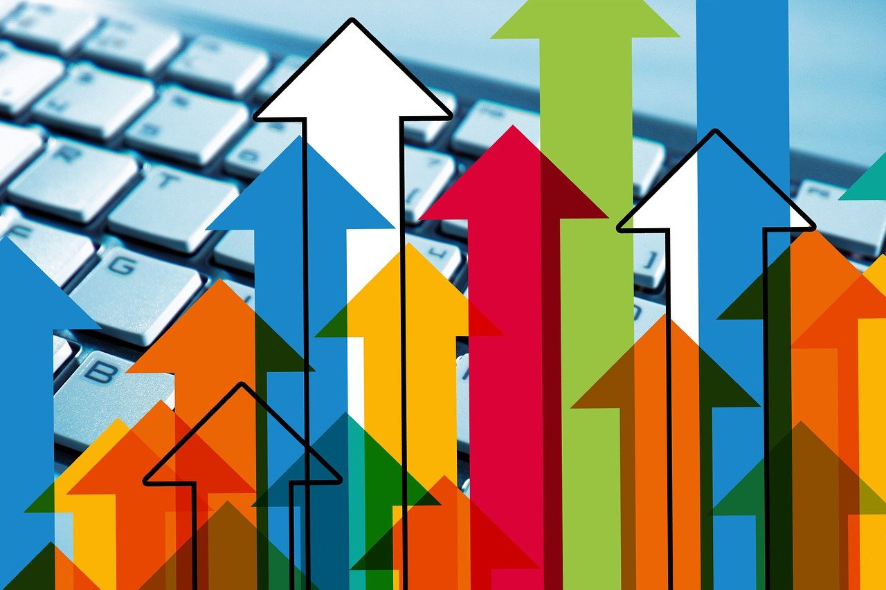 金种子酒业最新动态，创新拓展与市场策略调整揭秘