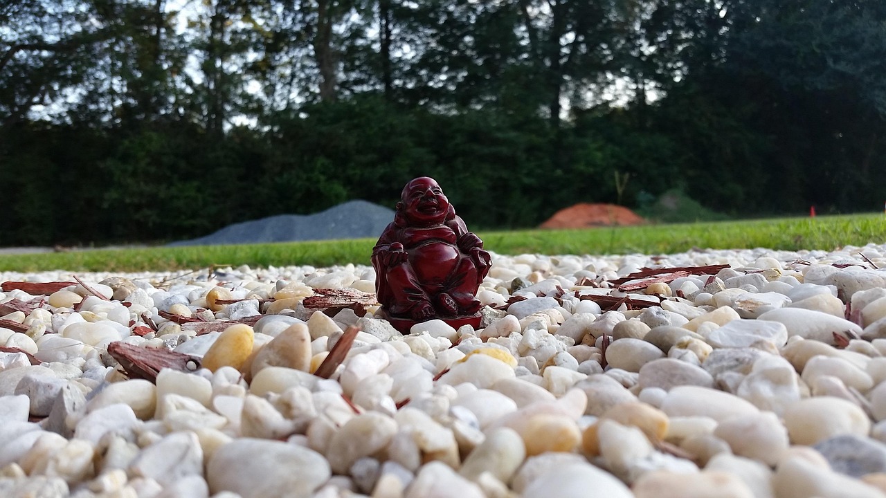 华夏幸福最新资讯概览，全面解读最新动态与发展情况