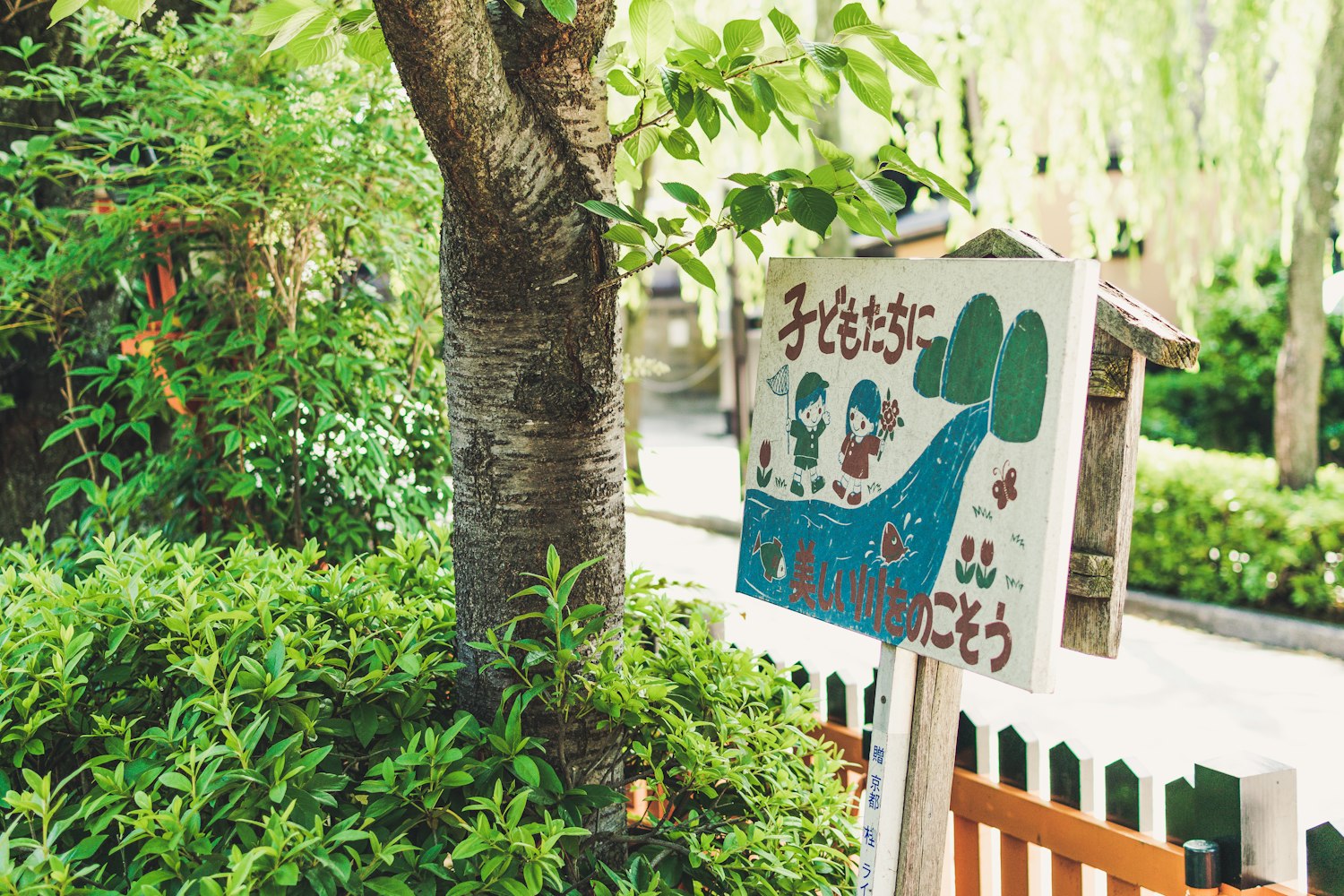 探究动漫头像背后的文化心理与个性表达之旅