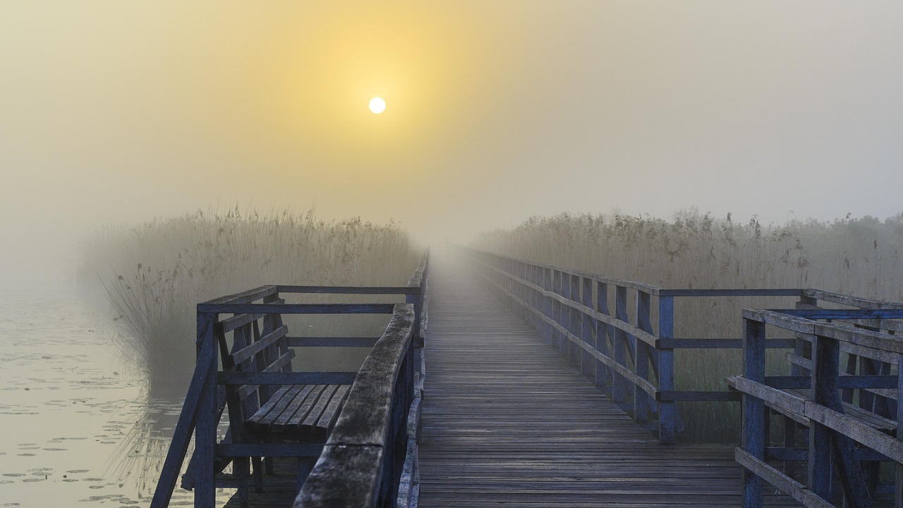 南海最新动态，持续发展与环境保护并行之路的探讨