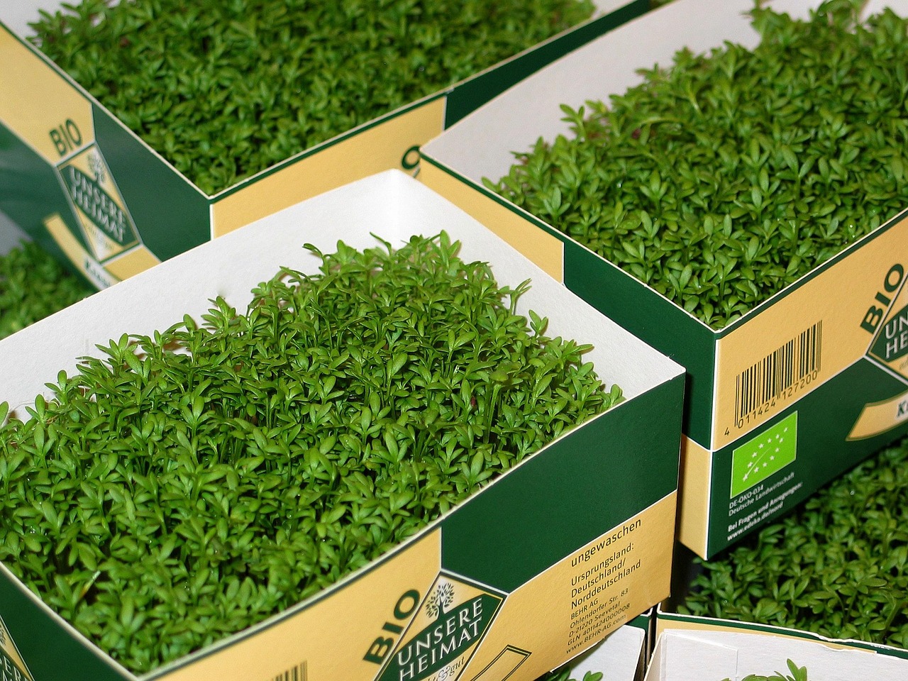 家庭理性用电新指南，打造绿色智能生活，节能减排从我做起