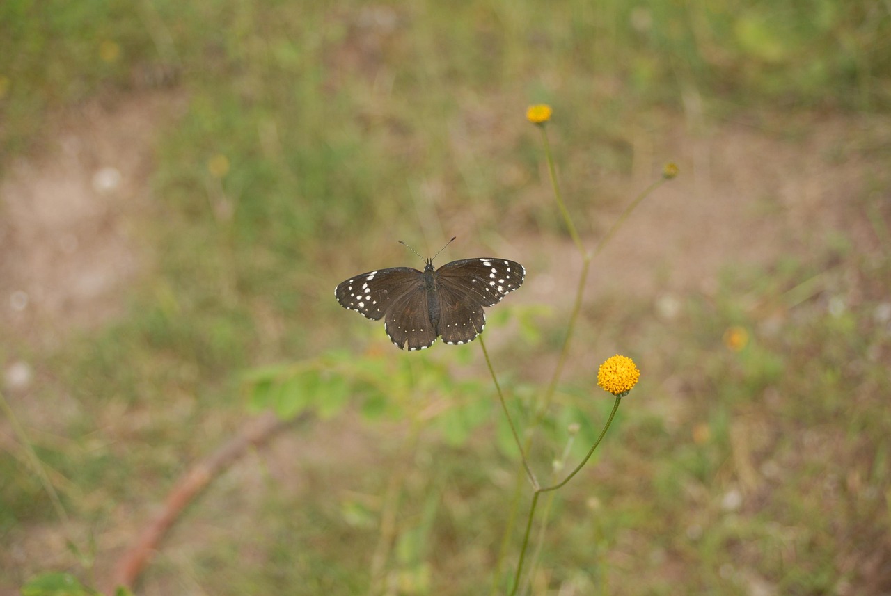 鄠邑区发展前沿，最新动态与区域活力揭秘